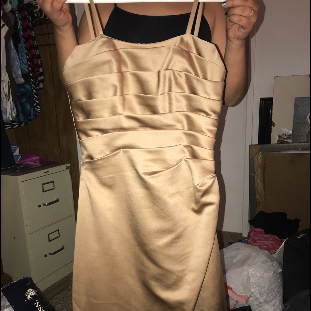 Da Vinci dress